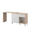 BUREAU LAGOON  CH DU JAPON/GRIS